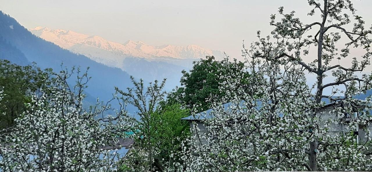 The Heaven'S Retreat Manali (Himachal Pradesh) Luaran gambar