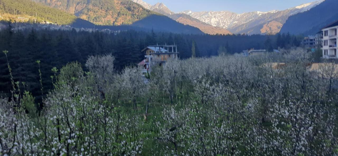 The Heaven'S Retreat Manali (Himachal Pradesh) Luaran gambar
